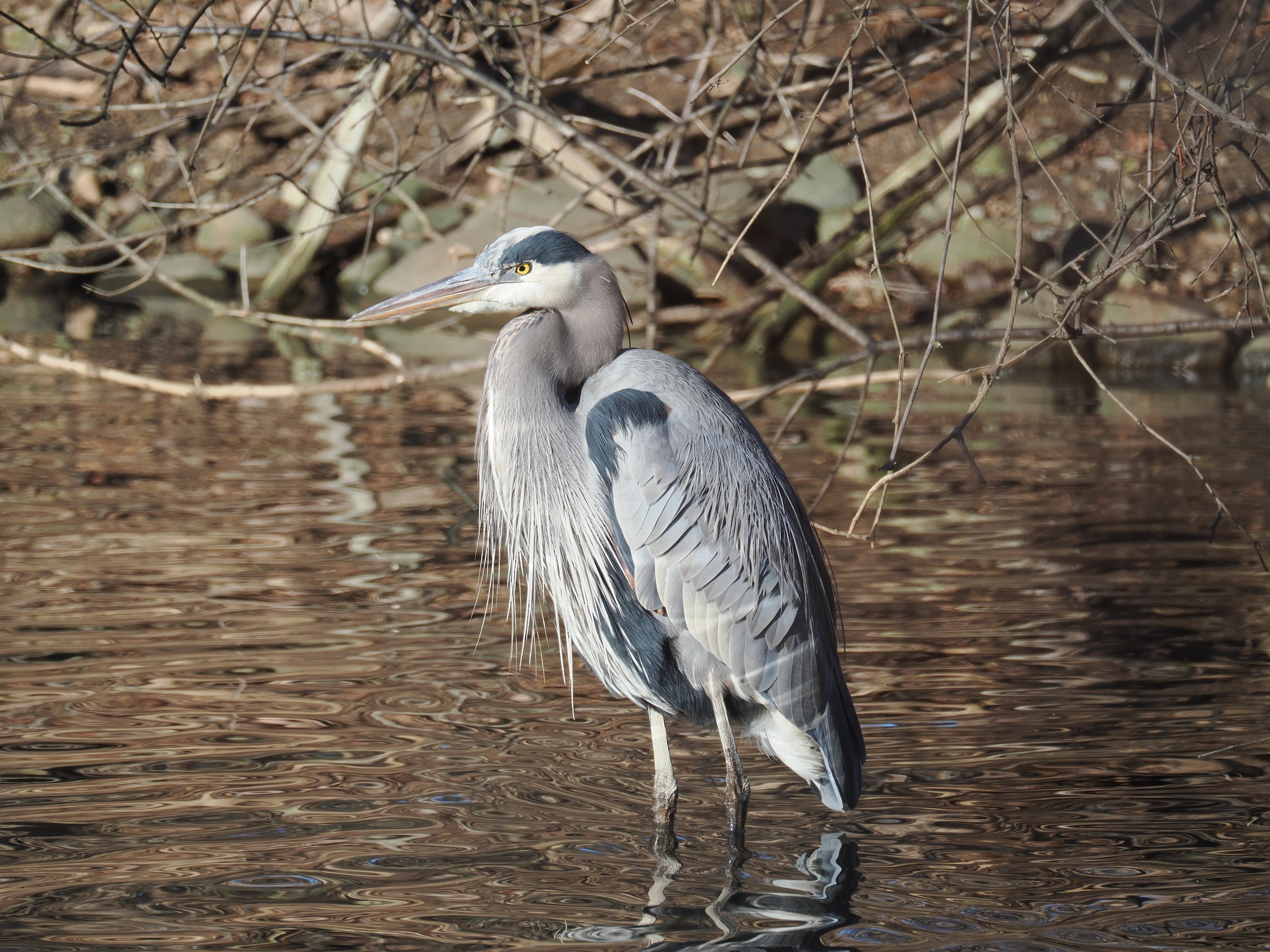 Fishing at Dawn — additional photo 4