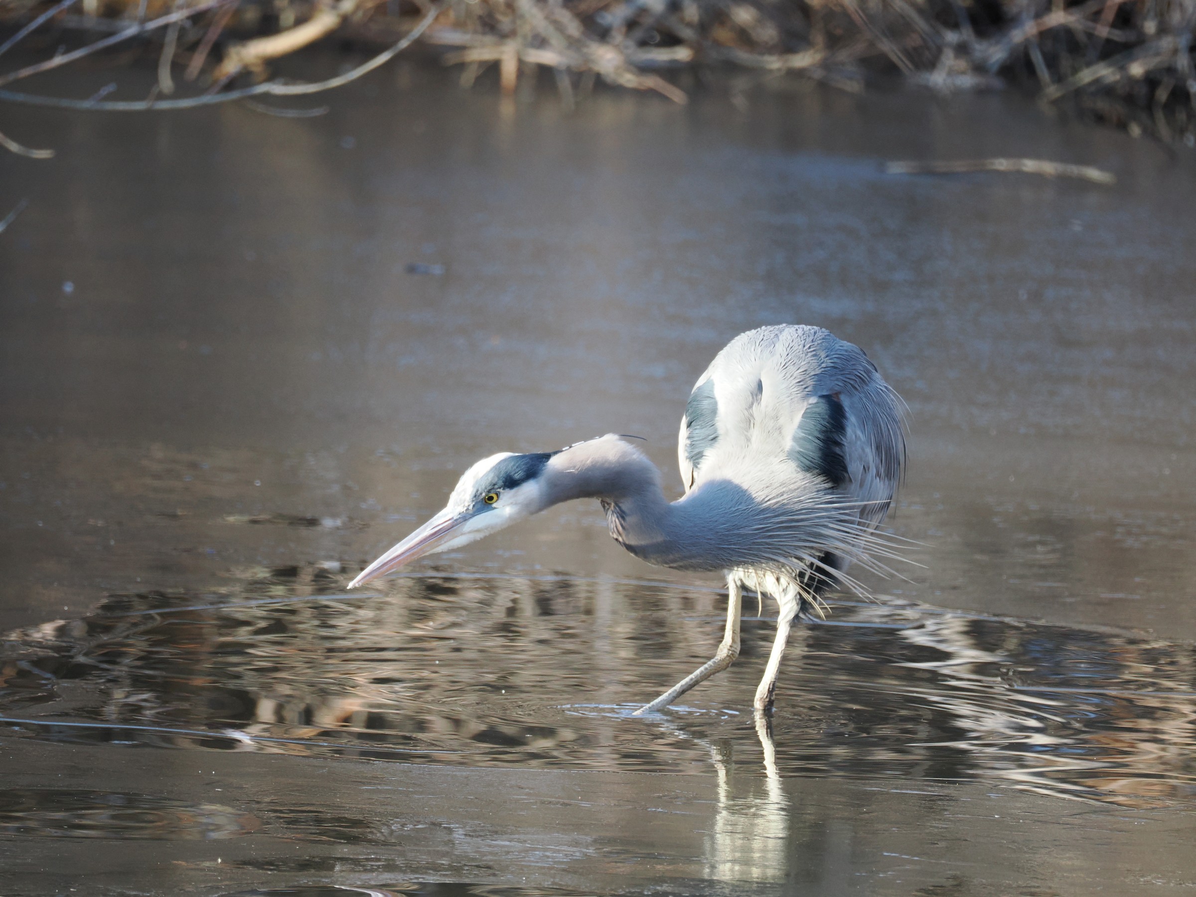 Fishing at Dawn — additional photo 3